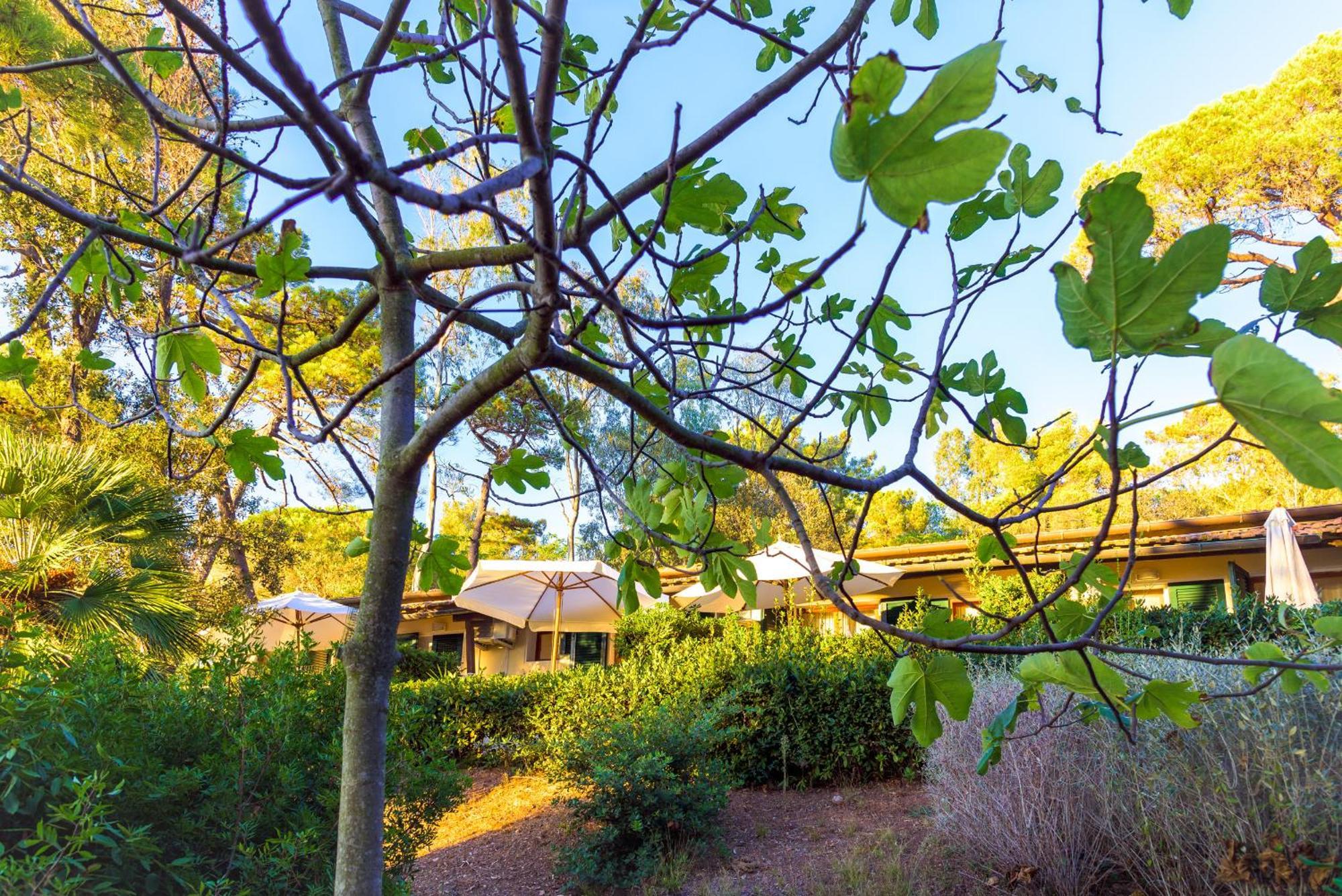 Hotel Villa Ottone Portoferraio Exterior foto